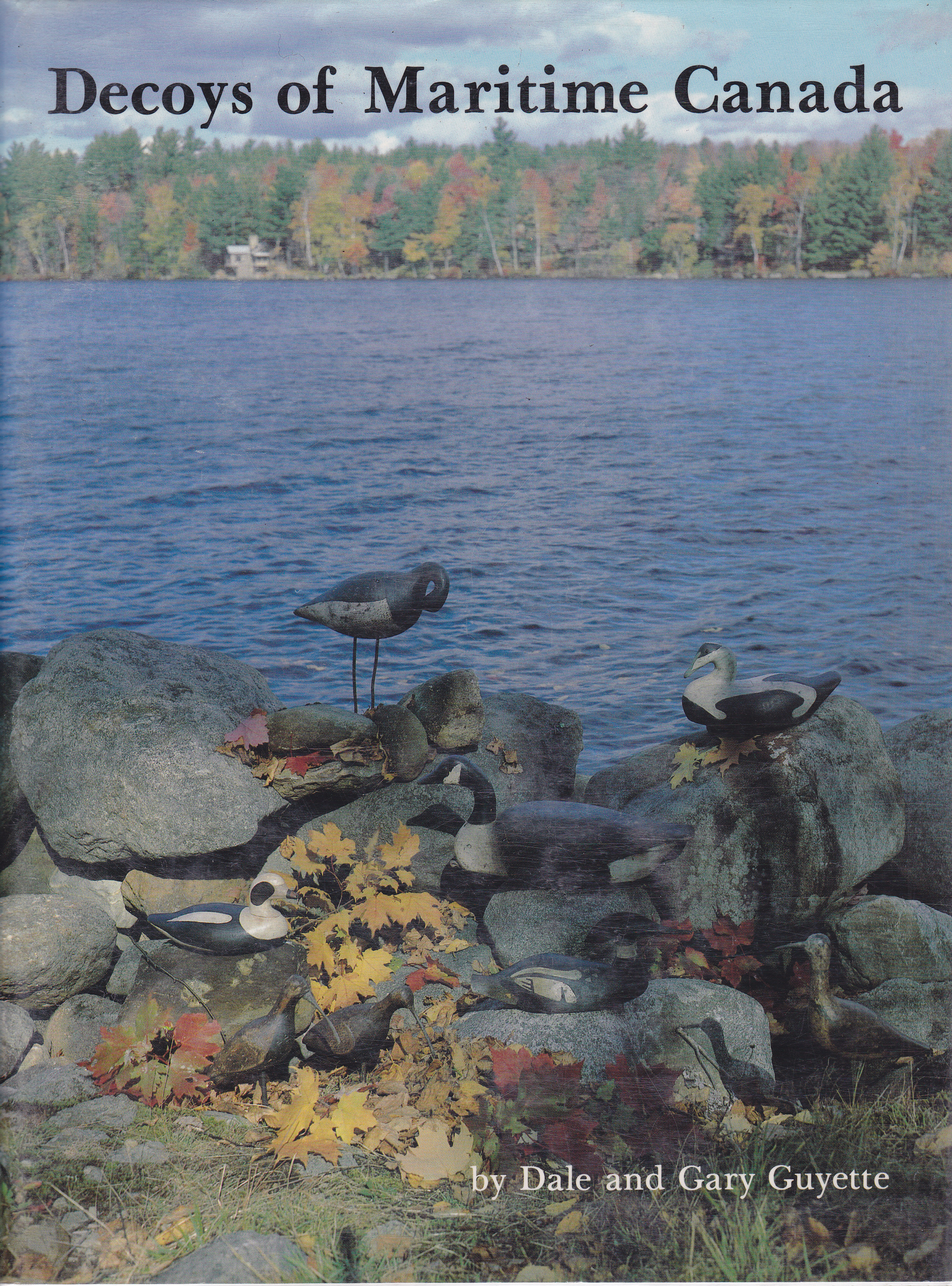 Image for Decoys of Maritime Canada