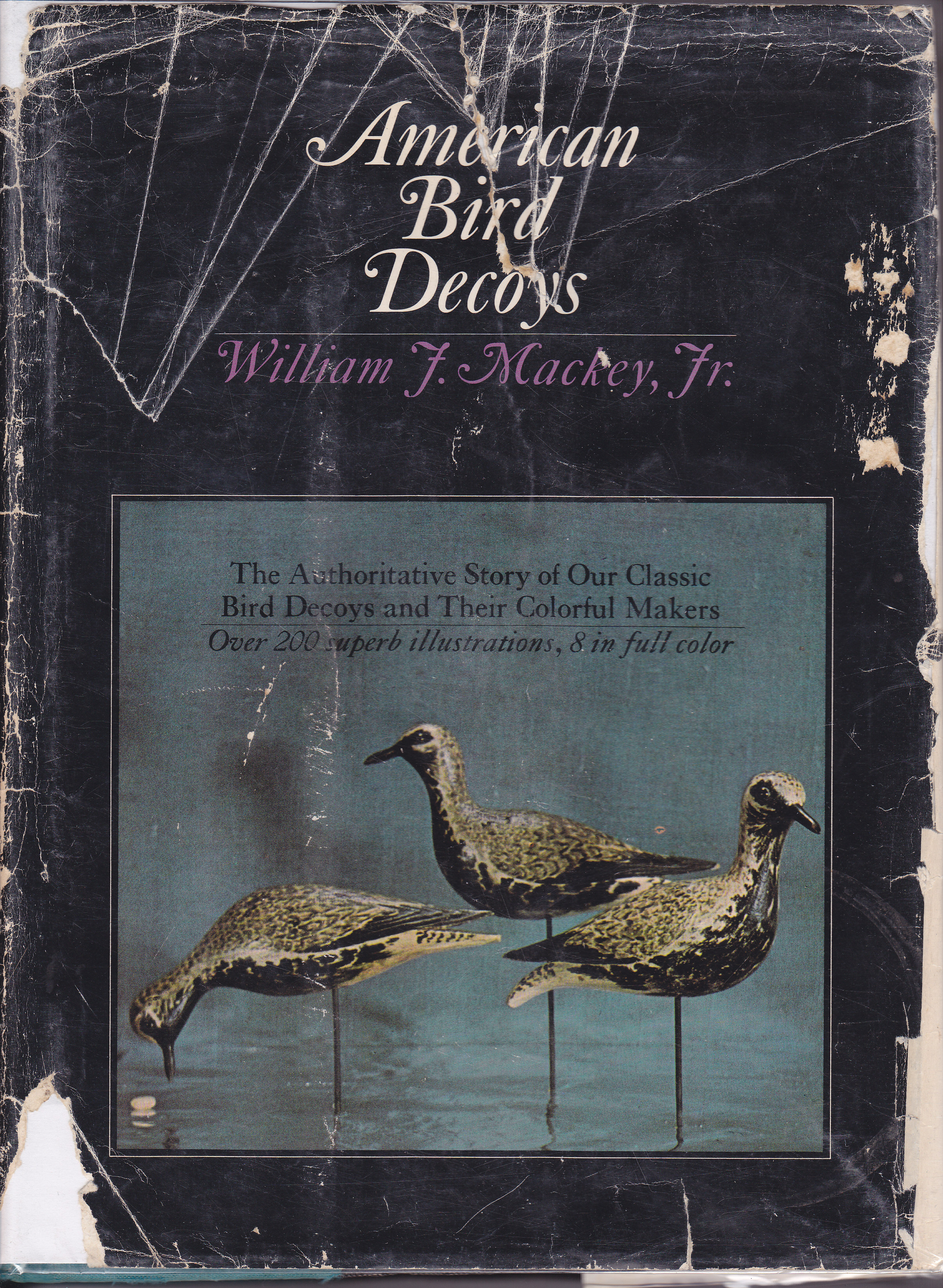 Image for American Bird Decoys